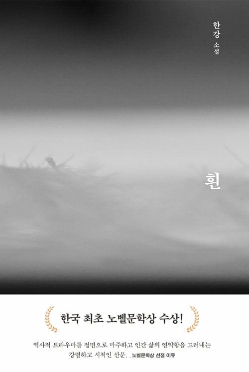 흰 (White Book,한강 소설)
