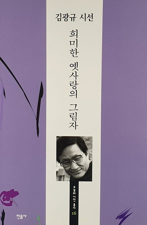 희미한 옛사랑의 그림자 (오늘의시인총서 15)