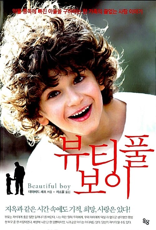 뷰티풀 보이 (약물 중독에 빠진 아들을 구하려는 한 가족의 끝없는 사랑 이야기)