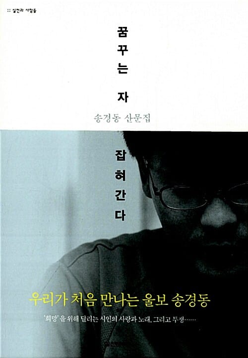 꿈꾸는 자 잡혀간다 (송경동 산문집)