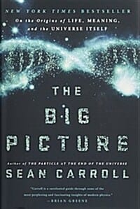 The Big Picture (On the Origins of Life, Meaning, and the Universe Itself)