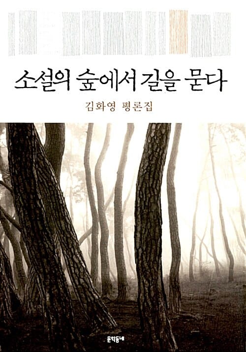소설의 숲에서 길을 묻다 (김화영 평론집)