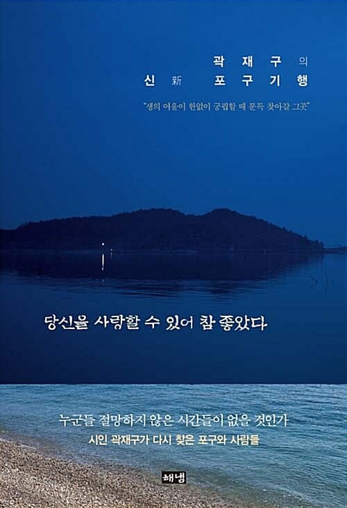 곽재구의 신 포구기행 (당신을 사랑할 수 있어 참 좋았다,新)
