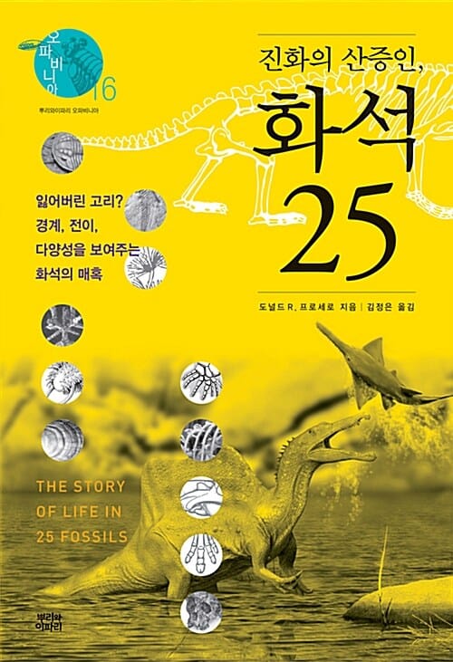 진화의 산증인, 화석 25 (잃어버린 고리? 경계, 전이, 다양성을 보여주는 화석의 매혹)