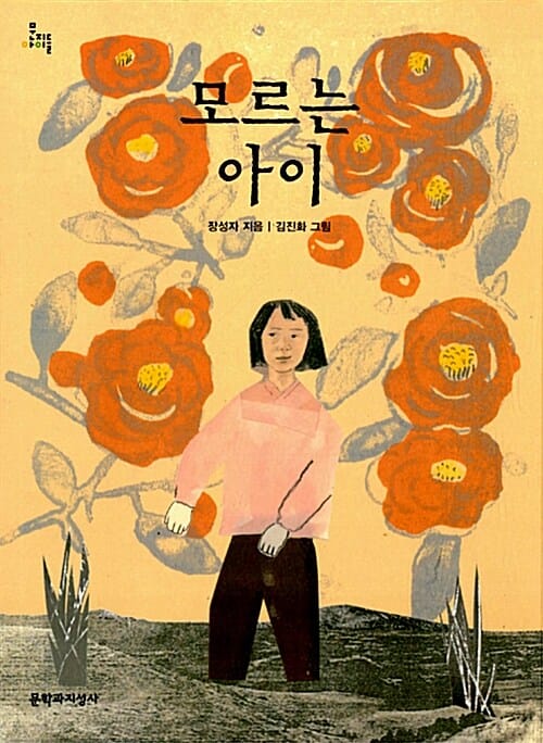 모르는 아이 (제11회 마해송문학상 수상작)