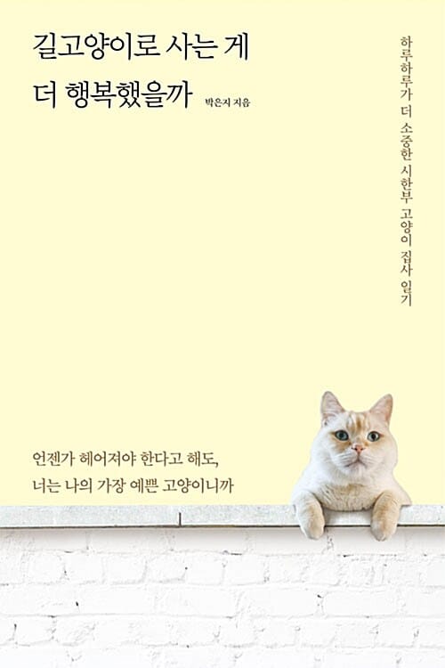 길고양이로 사는 게 더 행복했을까 (하루하루가 더 소중한 시한부 고양이 집사 일기)