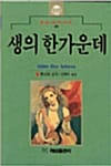 생의 한가운데 (혜원세계문학 49)
