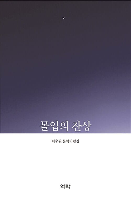 몰입의 잔상 - 이숭원 문학비평집