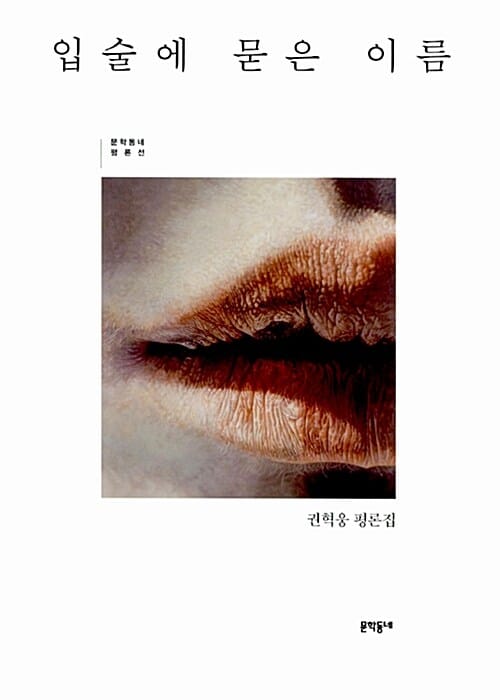 입술에 묻은 이름 (권혁웅 평론집)
