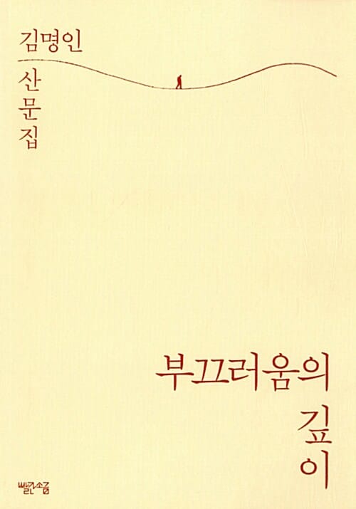 부끄러움의 깊이 (김명인 산문집)