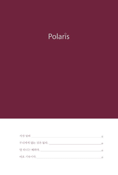 폴라리스 (Polaris)