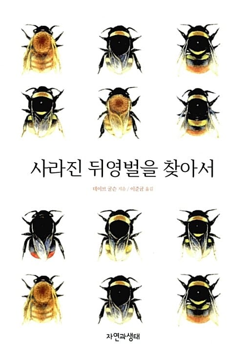 사라진 뒤영벌을 찾아서