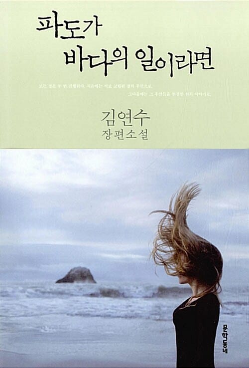 파도가 바다의 일이라면 (김연수 장편소설)