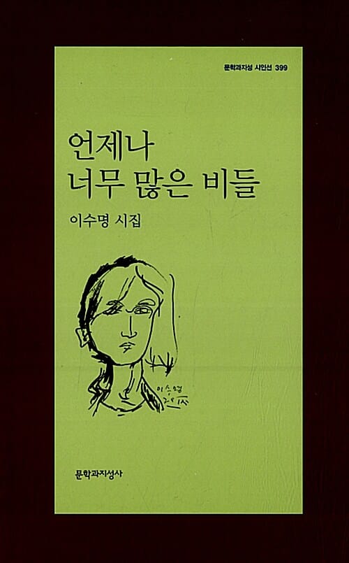 언제나 너무 많은 비들 (이수명 시집)