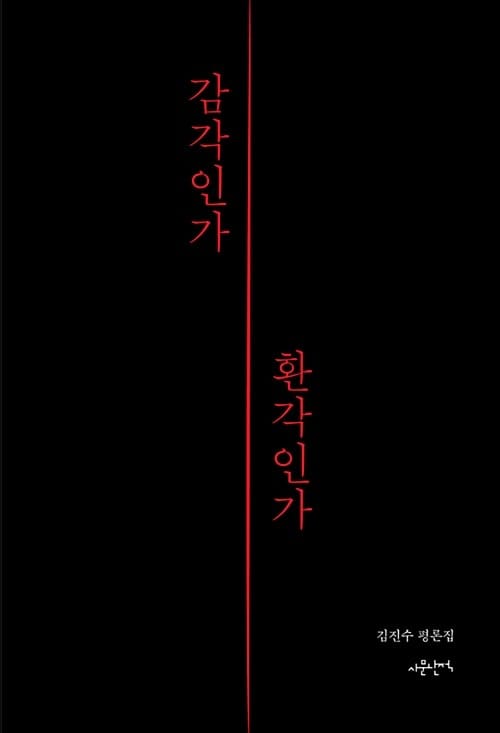 감각인가 환각인가 (김진수 평론집)