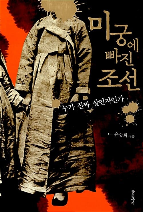 미궁에 빠진 조선 (누가 진짜 살인자인가)