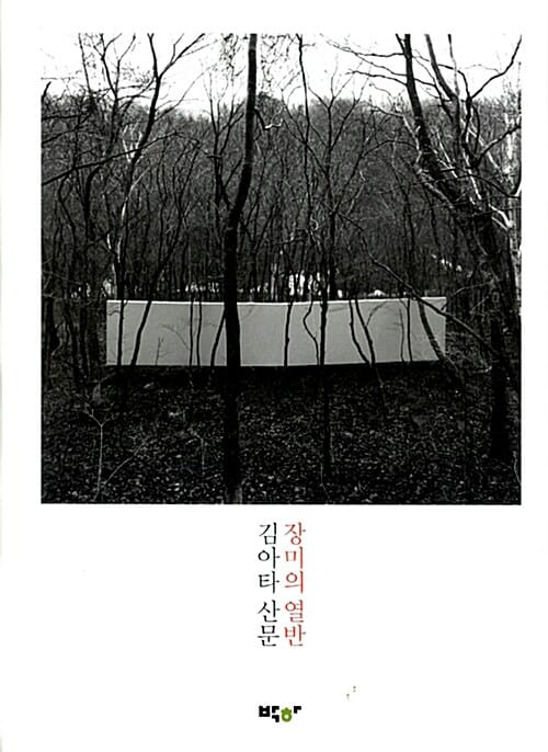장미의 열반 - 김아타 산문