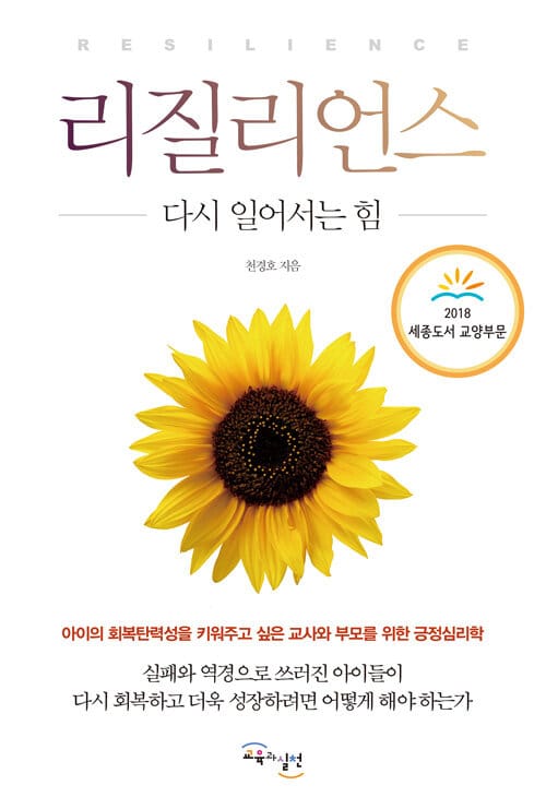 리질리언스 (다시 일어서는 힘)