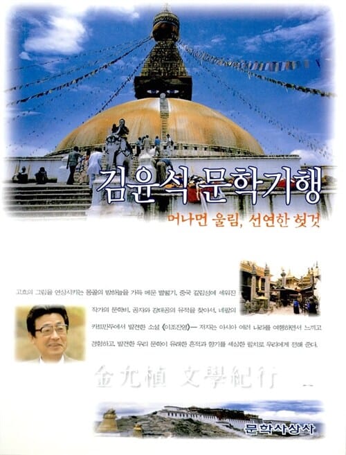 김윤식 문학기행 (머나먼 울림, 선연한 헛것)
