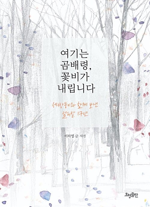 여기는 곰배령, 꽃비가 내립니다 (세쌍둥이와 함께 보낸 설피밭 17년)
