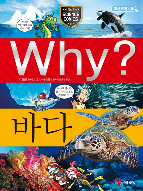 Why? 바다