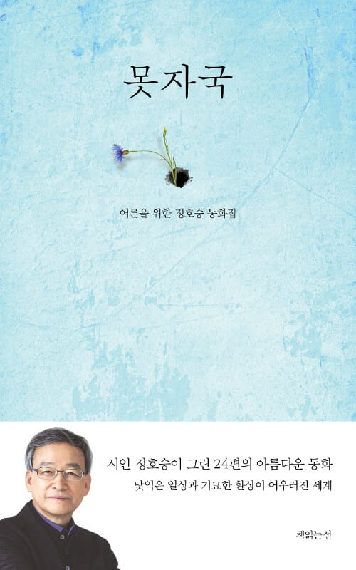 못자국 (어른을 위한 정호승 동화집)