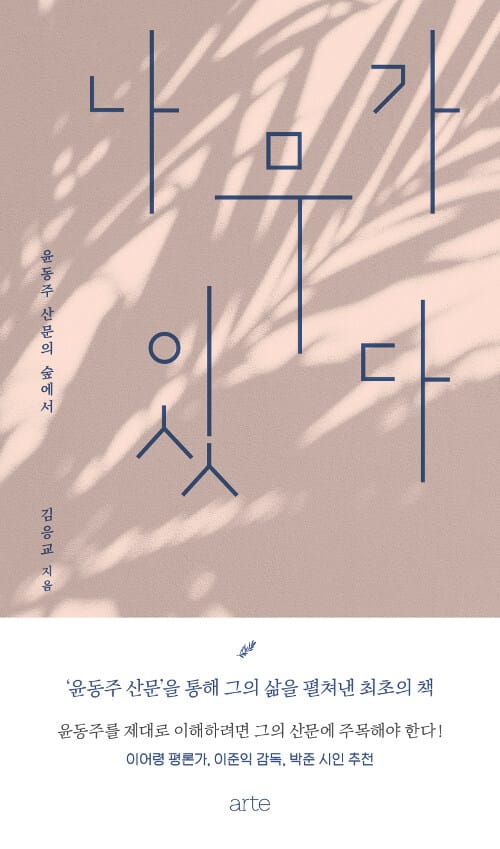 나무가 있다 (윤동주 산문의 숲에서)