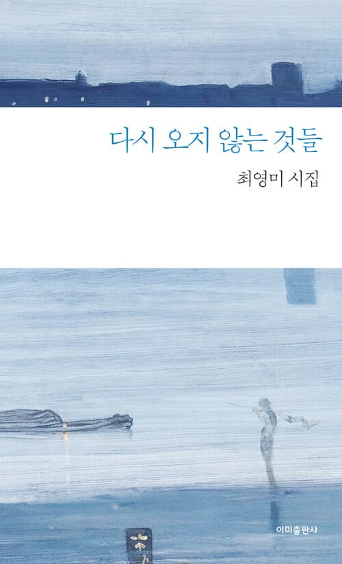 다시 오지 않는 것들 (최영미 시집)