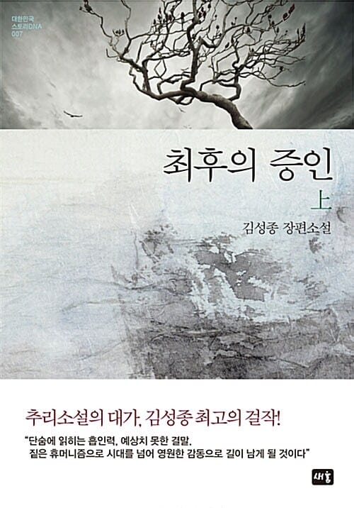 최후의 증인 하 (김성종 추리소설)