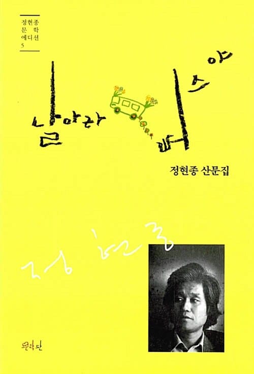 날아라 버스야 (정현종 산문집)