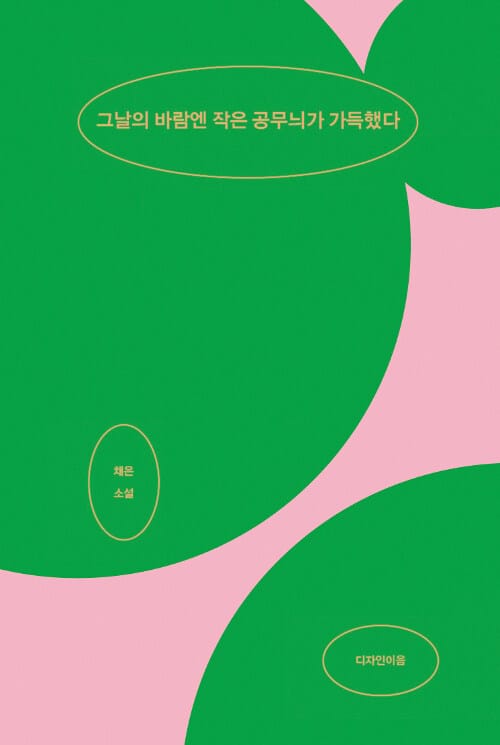 그날의 바람엔 작은 공무늬가 가득했다 (채은 소설)