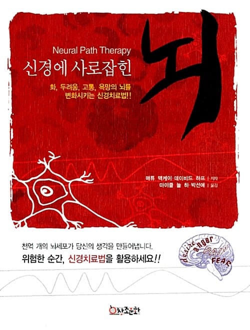 신경에 사로잡힌 뇌 (화, 두려움, 고통, 욕망의 뇌를 변화시키는 신경치료법!)