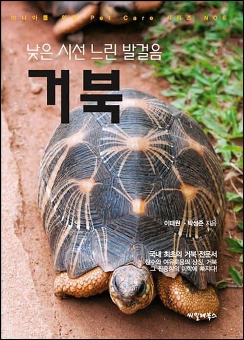 낮은 시선 느린 발걸음, 거북