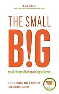 Small Big (Small Changes that Spark Big Influence)