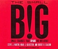 The Small Big (Small Changes That Spark Big Influence)
