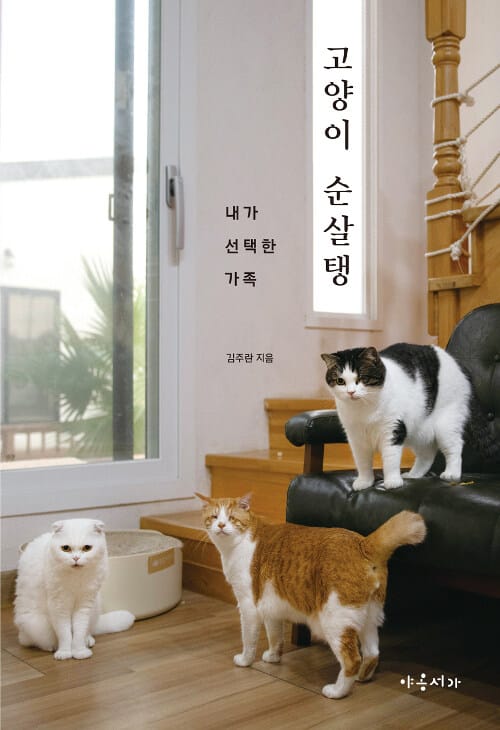 고양이 순살탱 (내가 선택한 가족)