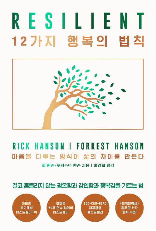 12가지 행복의 법칙 (마음을 다루는 방식이 삶의 차이를 만든다)