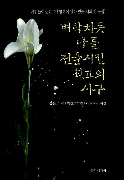 벼락치듯 나를 전율시킨 최고의 시구 (시인들이 뽑은 ‘내 영혼에 남아 있는 시의 한 구절’)