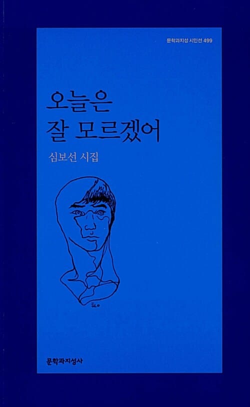 오늘은 잘 모르겠어 (문학과지성 시인선 499,심보선 시집)
