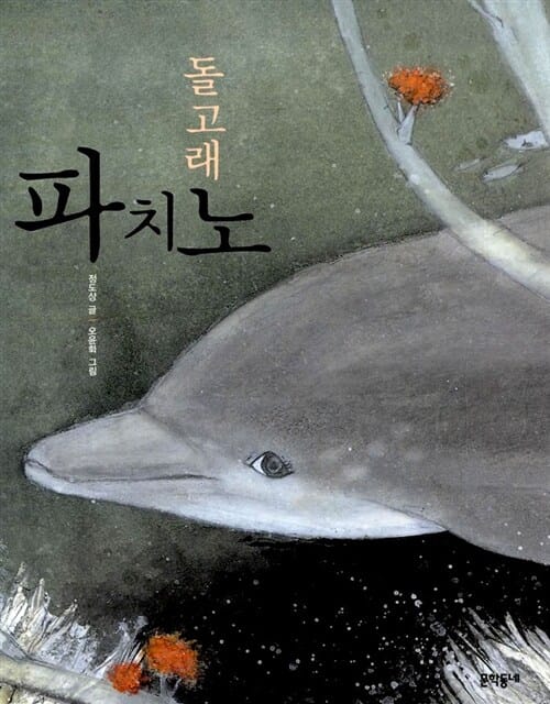 돌고래 파치노