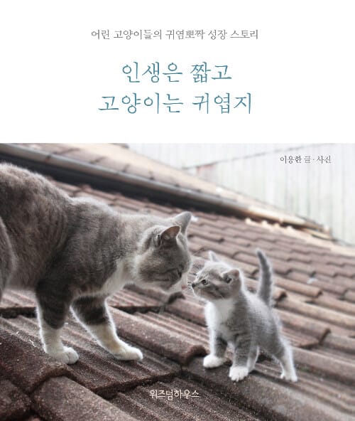 인생은 짧고 고양이는 귀엽지 (어린 고양이들의 귀염뽀짝 성장 스토리)