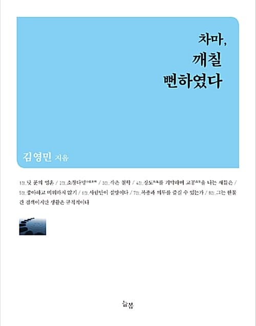 차마, 깨칠 뻔하였다 (철학자 김영민의 아포리즘)