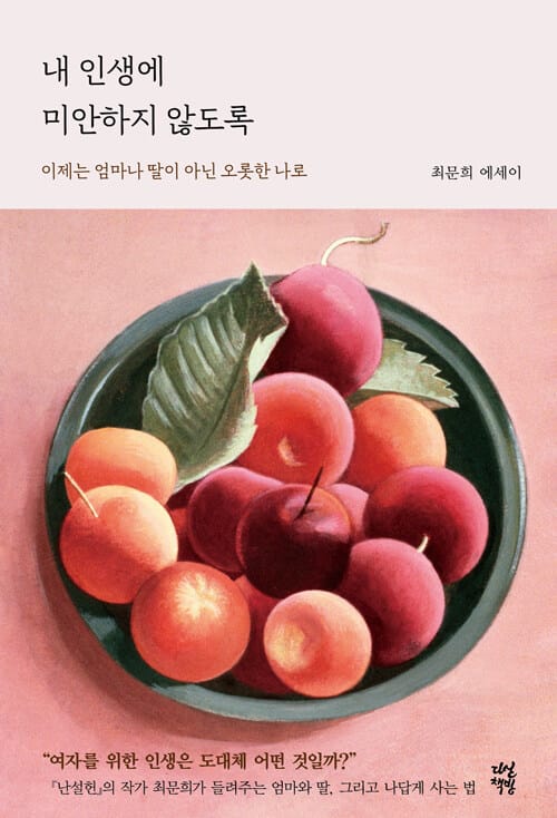 내 인생에 미안하지 않도록 (최문희 에세이)