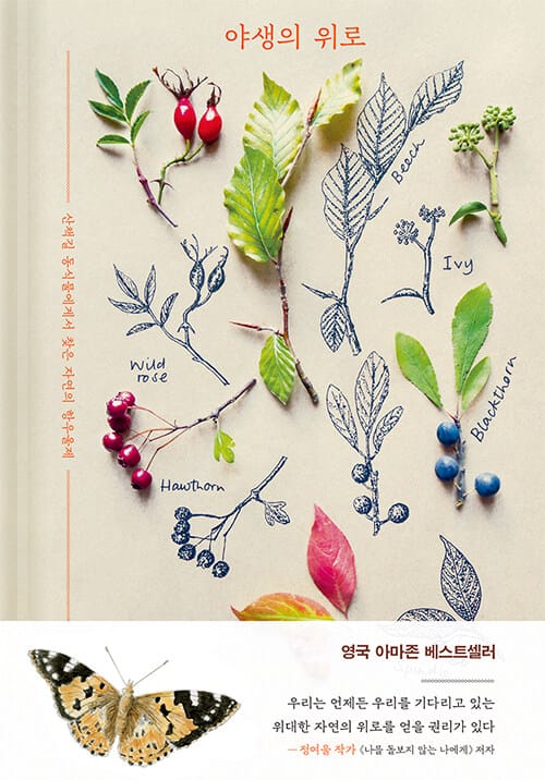 야생의 위로(양장본 HardCover) (산책길 동식물에게서 찾은 자연의 항우울제)