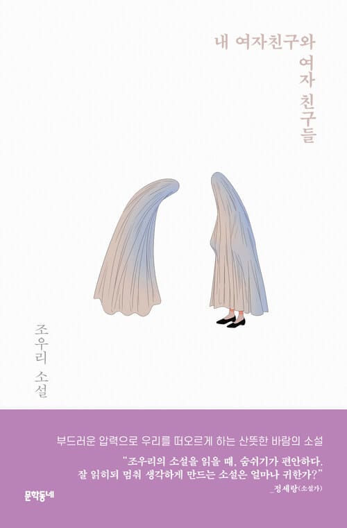 내 여자친구와 여자 친구들 (조우리 소설)