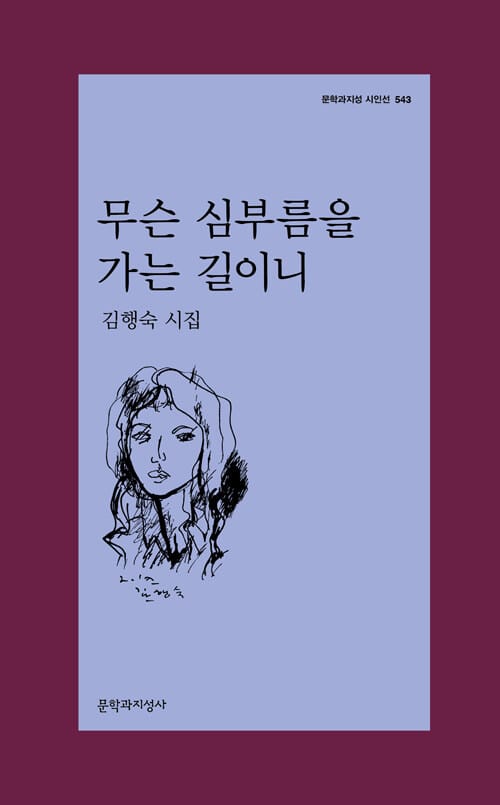 무슨 심부름을 가는 길이니 (김행숙 시집)