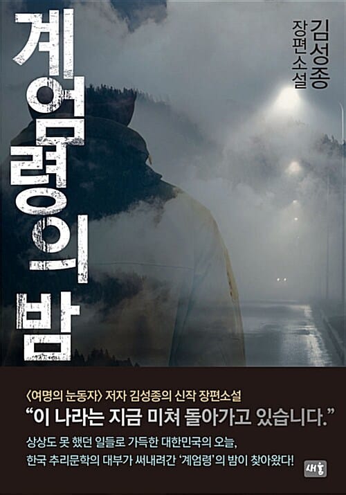 계엄령의 밤 :김성종 장편소설