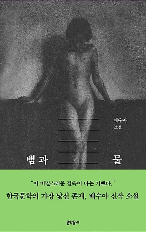 뱀과 물 :배수아 소설