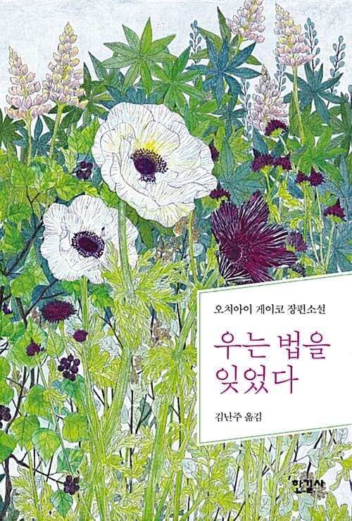 우는 법을 잊었다 :오치아이 게이코 장편소설