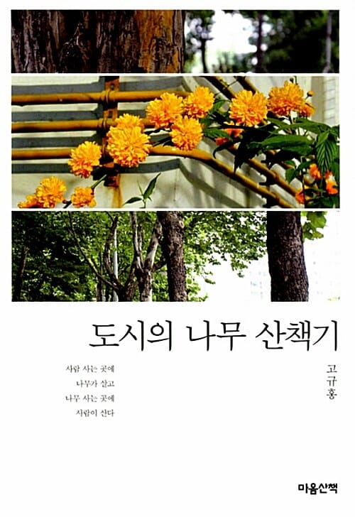 도시의 나무 산책기